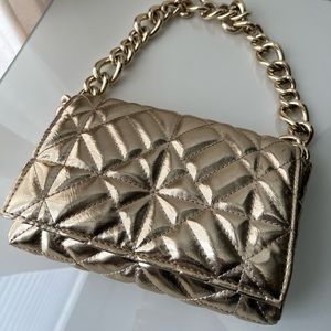 Zara Metallic Bag